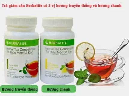 Trà Thảo Mộc Herbalife Tea Concentrate – Giảm cân hiệu quả