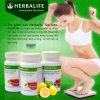 Trà Thảo Mộc Herbalife Tea Concentrate – Giảm cân hiệu quả